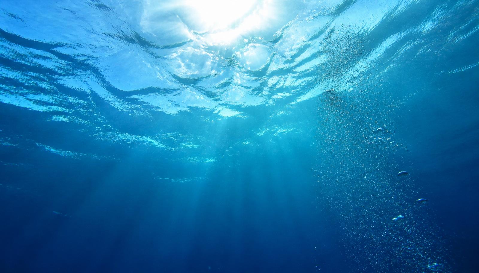 Sunlight streaming through the ocean surface seen from underwater with rising bubbles